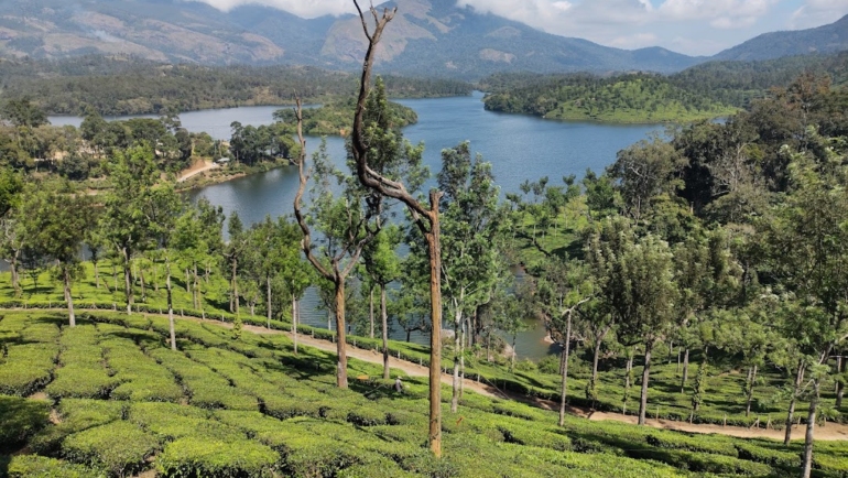 ooty views which are the best places to visit in january in India