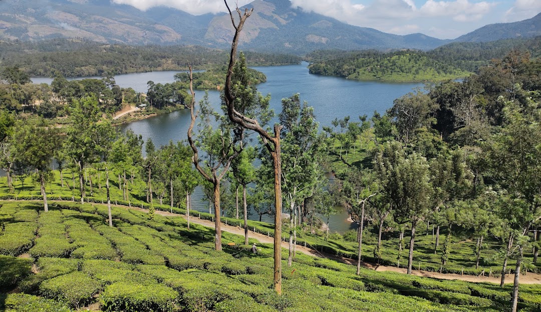 ooty views which are the best places to visit in january in India