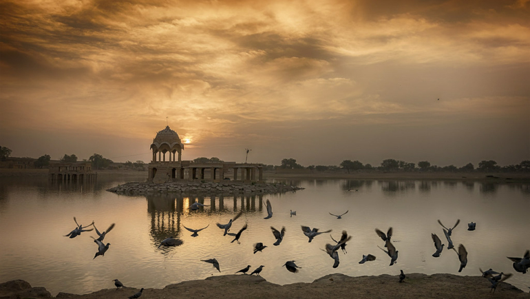 Rajasthan in December and January Image credits: Well-Bred Kannan (WBK Photography) via Flickr https://www.flickr.com/photos/wellbredkannanclicks/25663319193