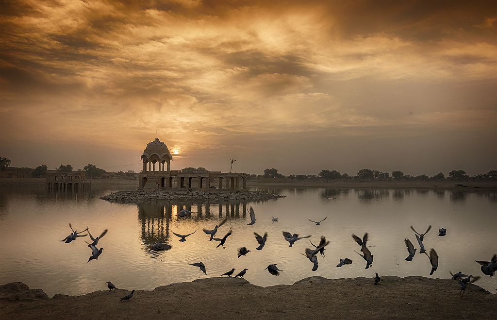 Rajasthan in December and January Image credits: Well-Bred Kannan (WBK Photography) via Flickr https://www.flickr.com/photos/wellbredkannanclicks/25663319193