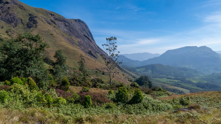 eravikulam national park in kerala