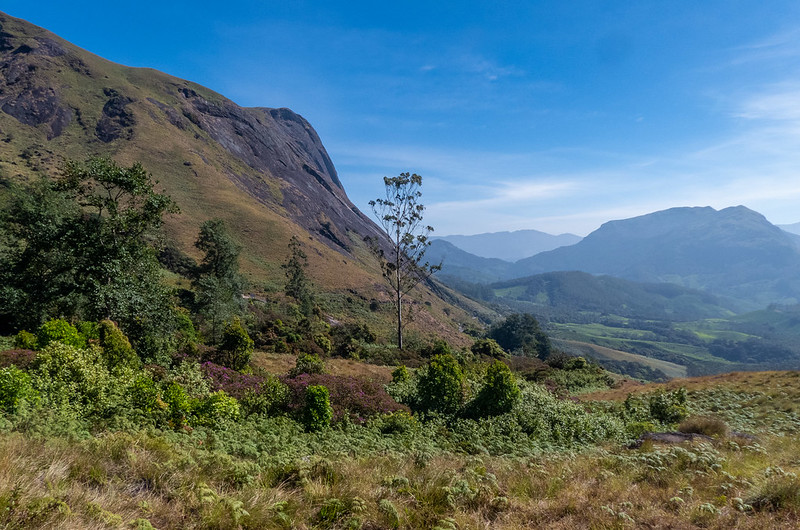 eravikulam national park in kerala