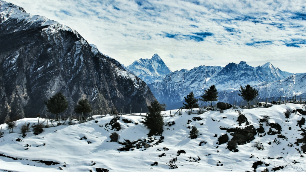 Delhi to Auli 