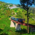 Toy Train in Ooty