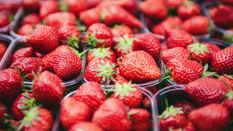 Strawberry season in Mahabaleshwar