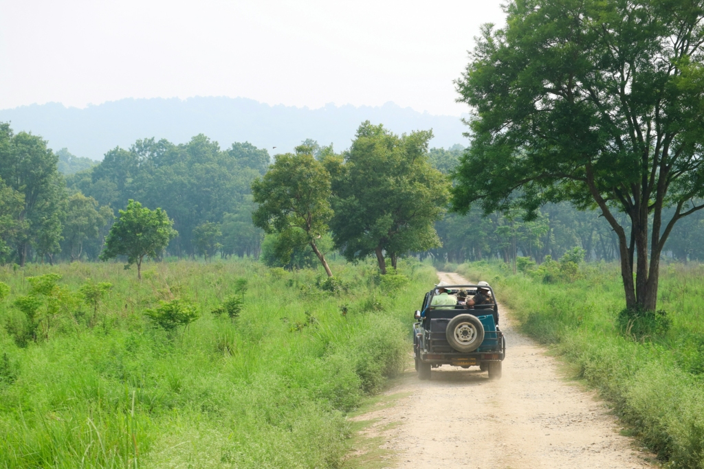 Jim Corbett National Park