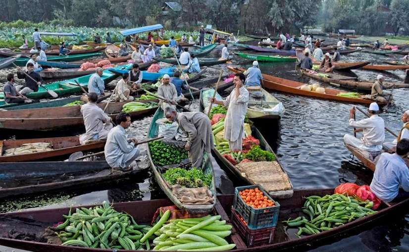 floating market in srinagar