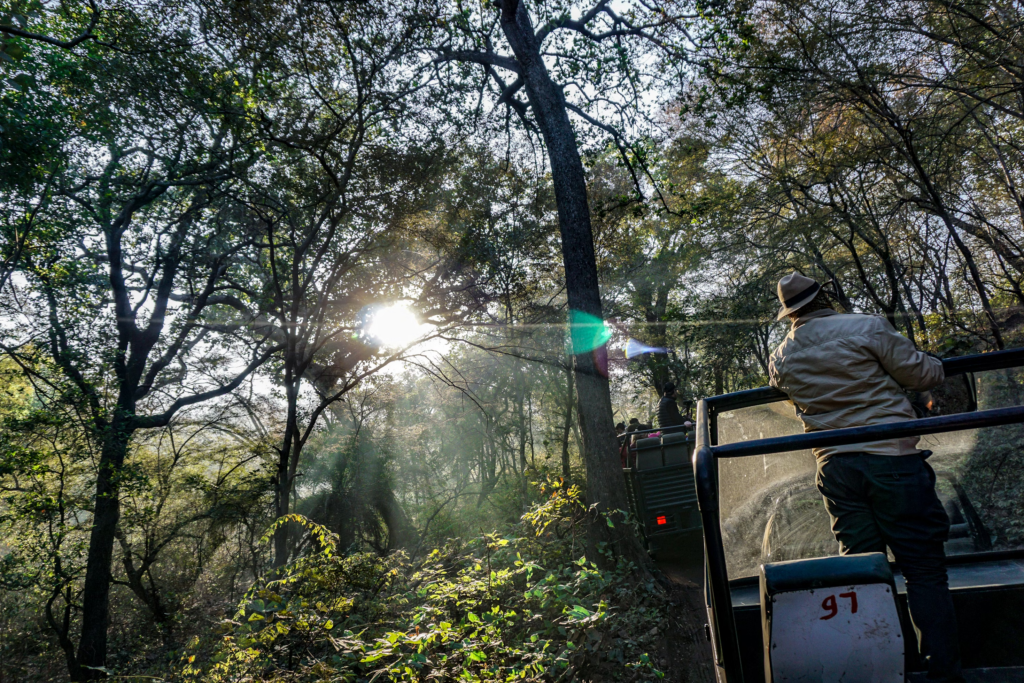 best time to visit ranthambore