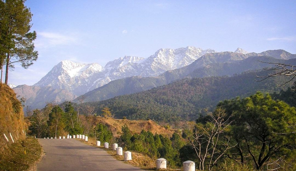 Best Time to Travel to Palampur