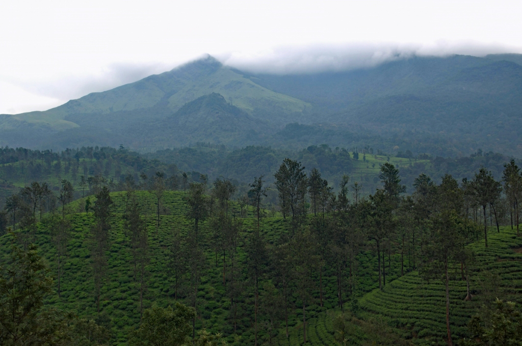 Wayanad in Kerala