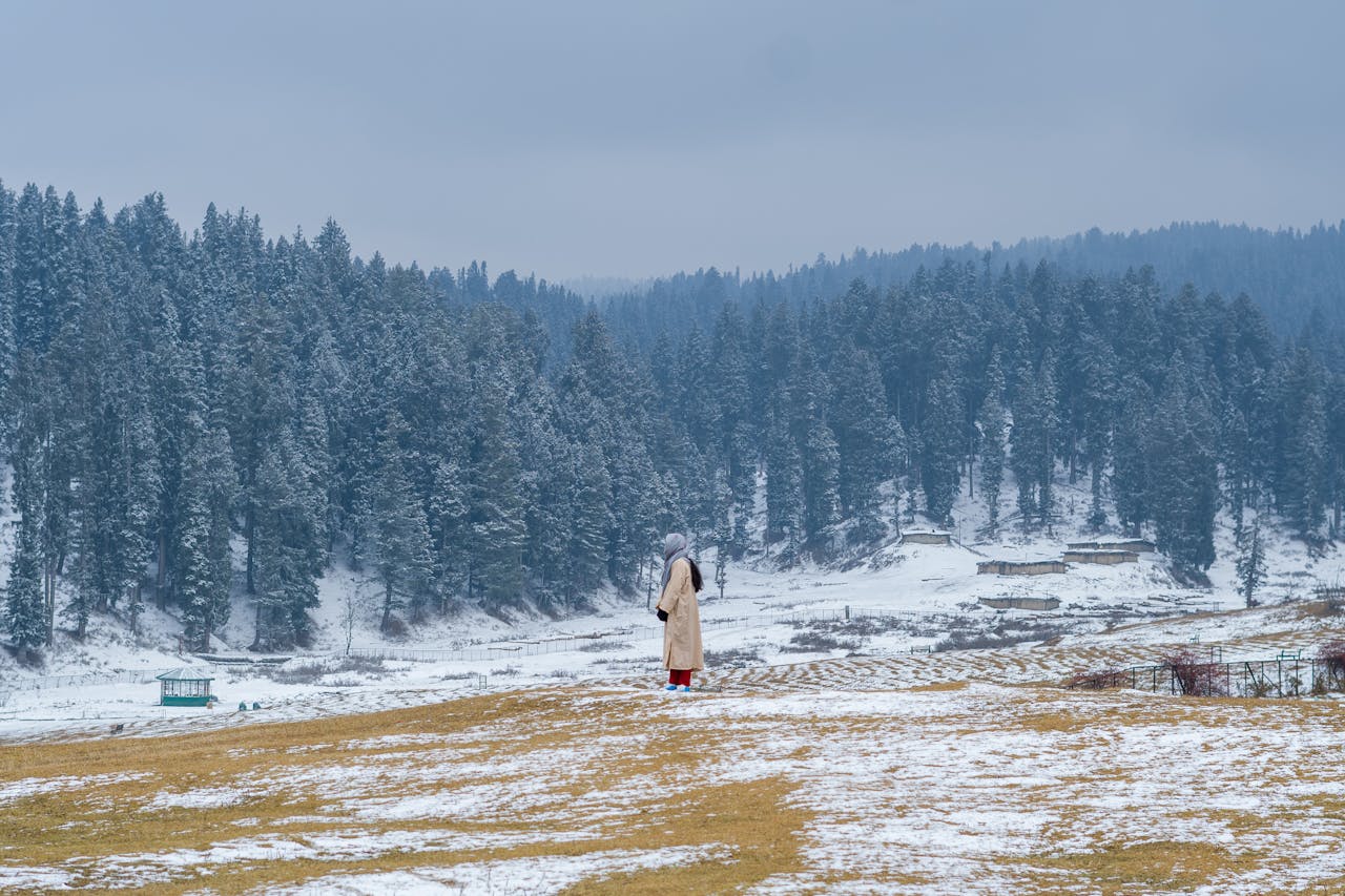 winter vacation in kashmir