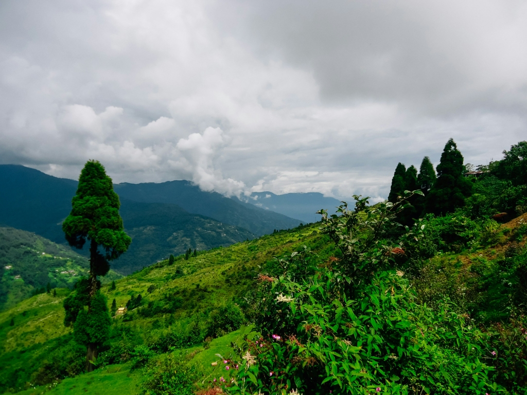 Darjeeling