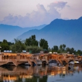 Image credit: Madhumita Das via Wikimedia https://commons.wikimedia.org/wiki/File:Houseboats,_Dal_Lake,_Kashmir.jpg