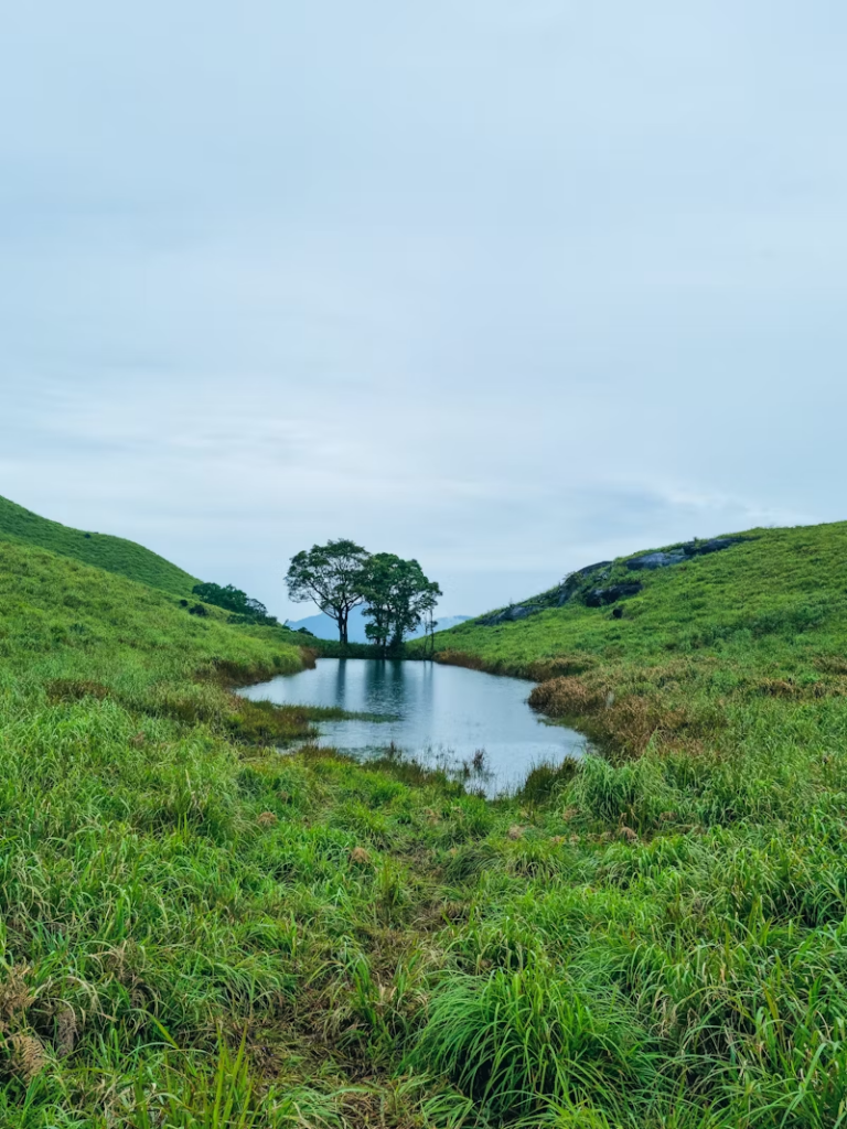 chembra peak in wayanad