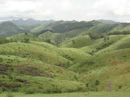 image credits: Prasanths via Wikimedia https://commons.wikimedia.org/wiki/File:Vagamon_Meadow_1.jpg