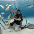 scuba diving in Goa