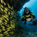 scuba diving in India