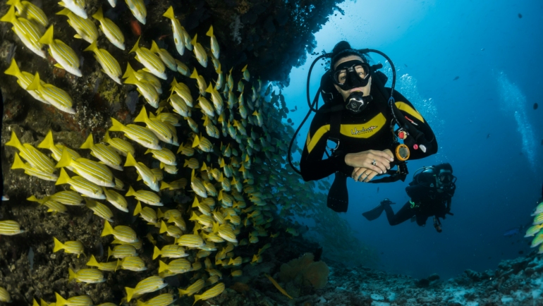 scuba diving in India