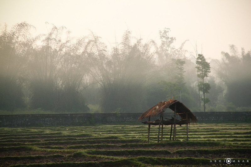 Top places to Visit In Wayanad
Image Credits: Abhinay Omkar
via Flickr