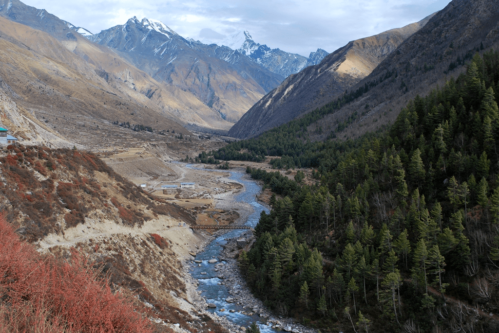 sangla holi 2025